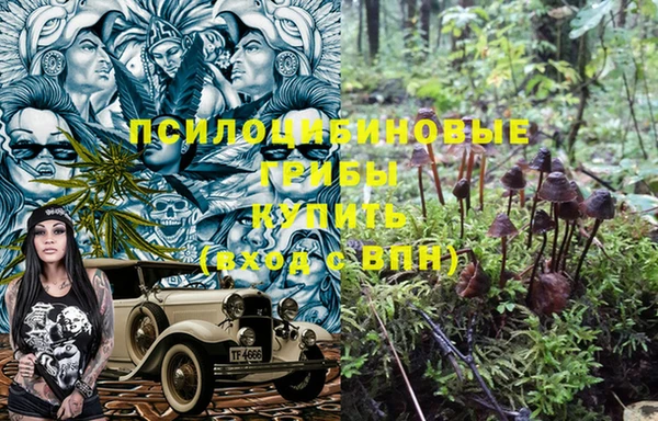 дмт Дмитриев