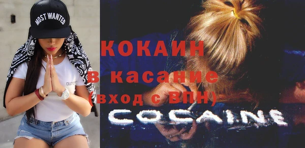 дмт Дмитриев